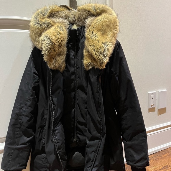 Aritzia Babaton Harrison Parka size small - Picture 2 of 4